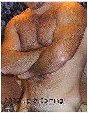 Hirsute Pursuit, perhaps